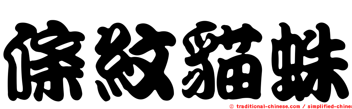 條紋貓蛛