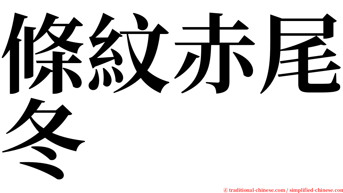 條紋赤尾冬 serif font
