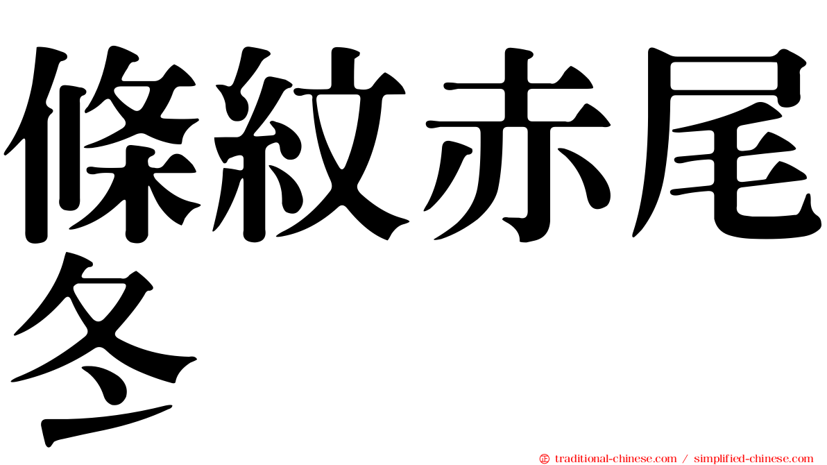 條紋赤尾冬