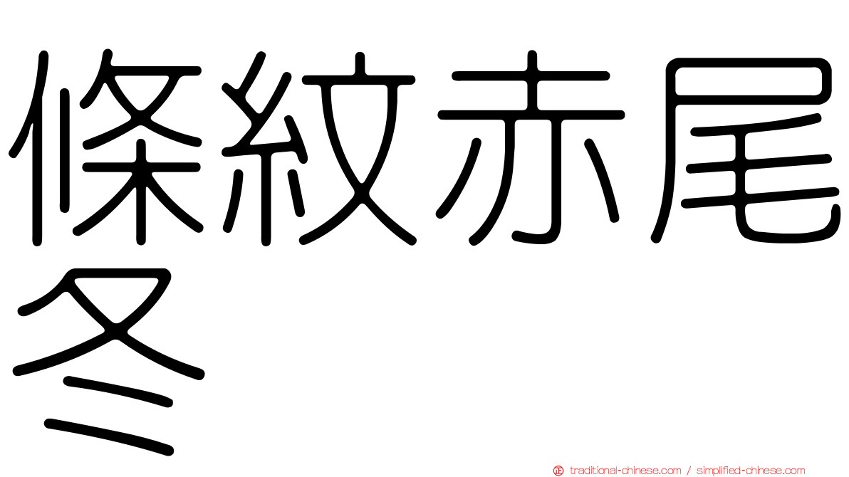 條紋赤尾冬
