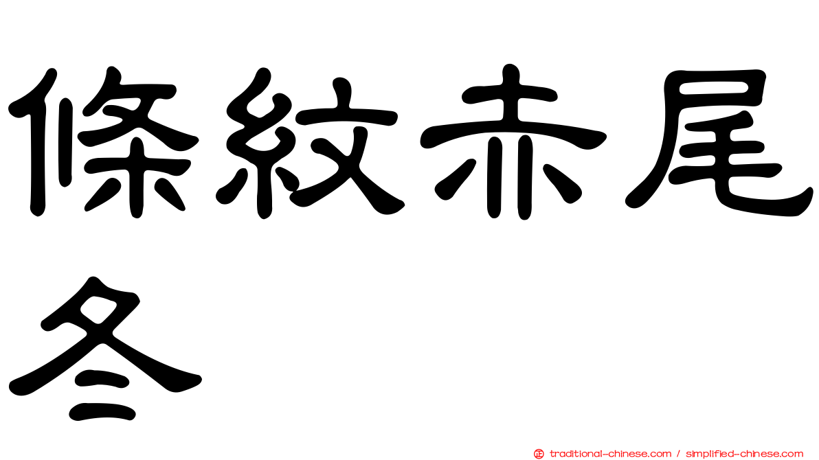 條紋赤尾冬
