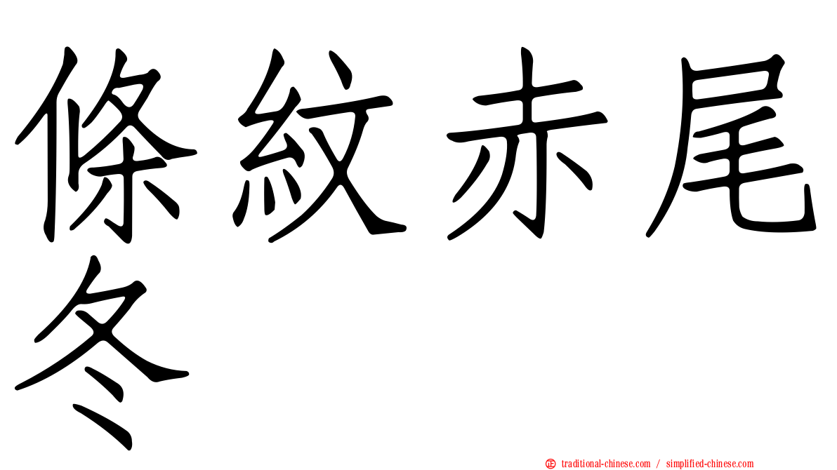 條紋赤尾冬