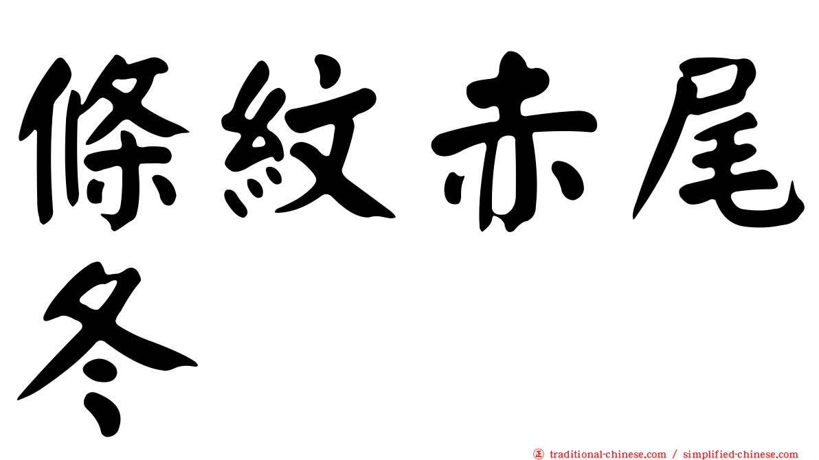 條紋赤尾冬
