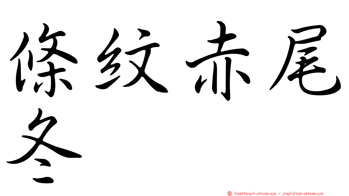 條紋赤尾冬