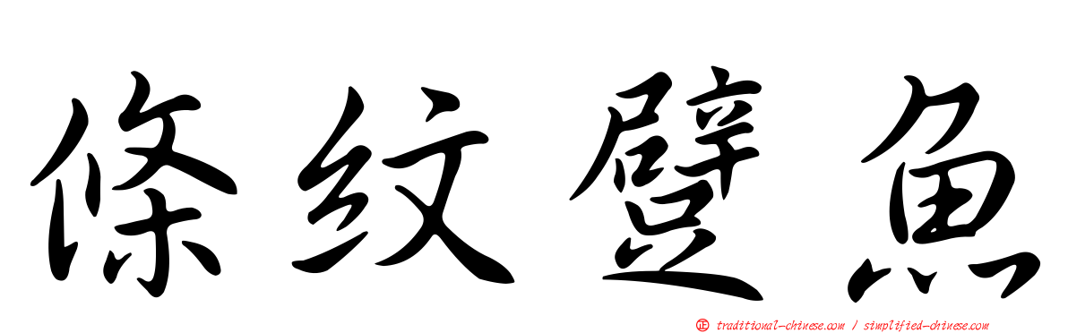 條紋躄魚