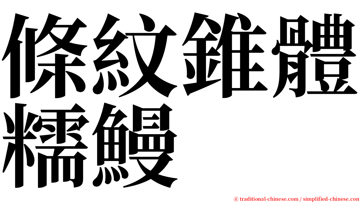 條紋錐體糯鰻 serif font