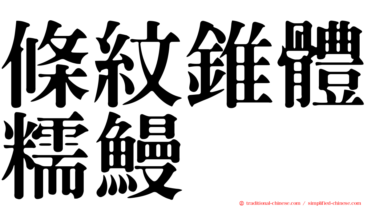 條紋錐體糯鰻