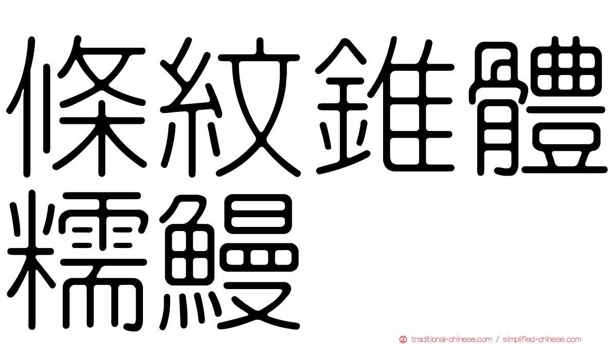 條紋錐體糯鰻