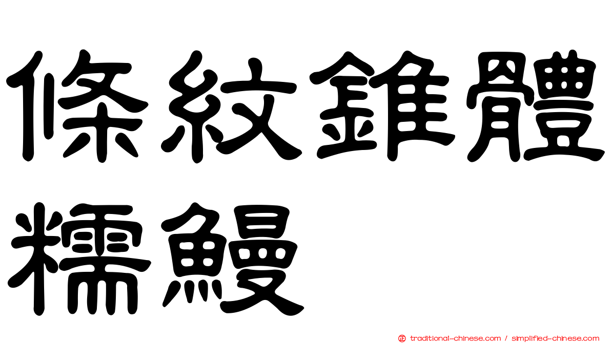 條紋錐體糯鰻