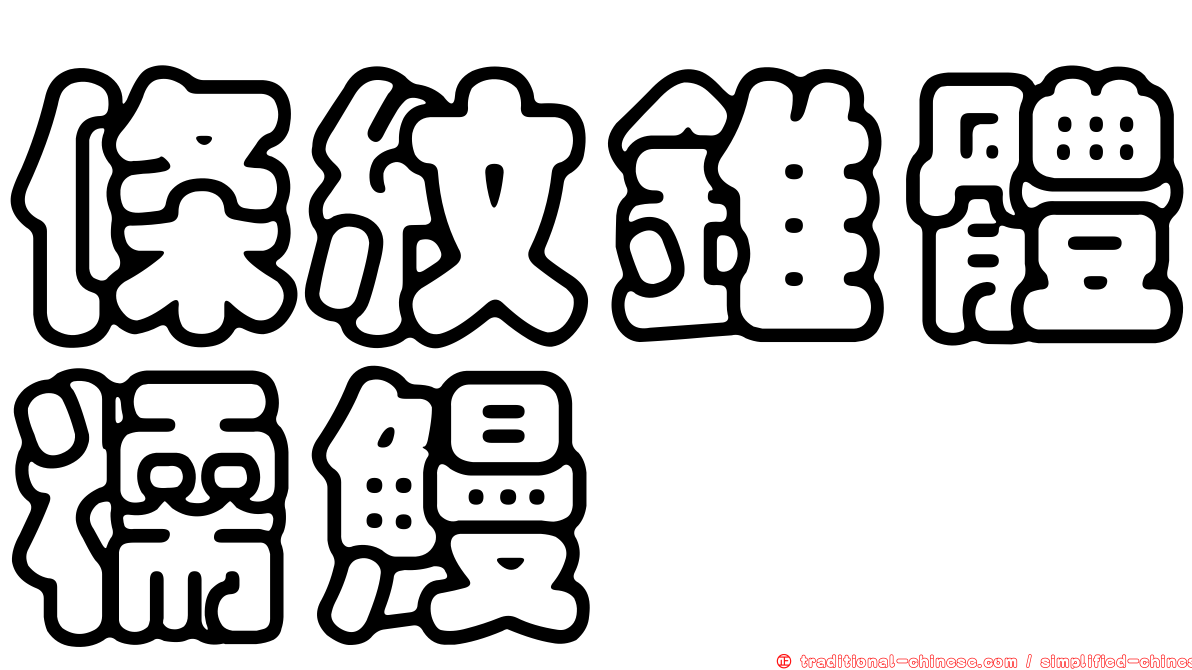 條紋錐體糯鰻