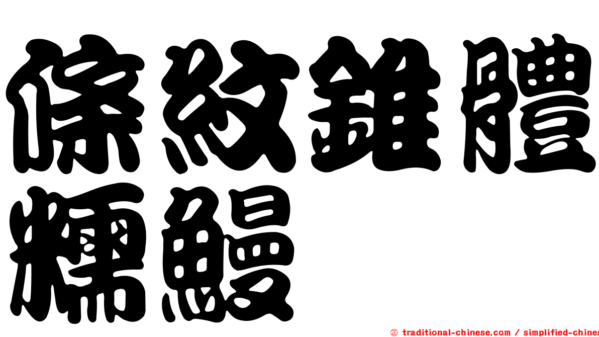 條紋錐體糯鰻
