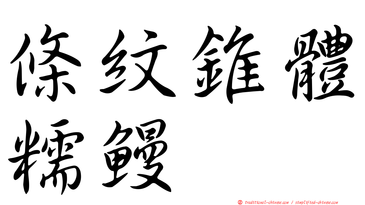 條紋錐體糯鰻