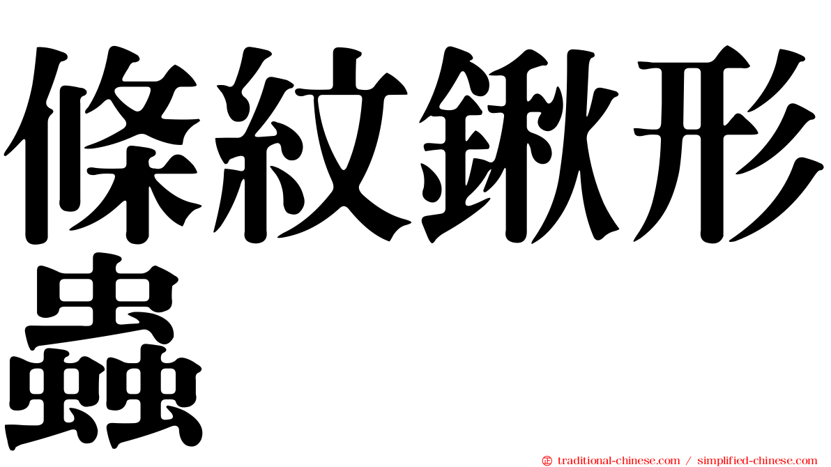 條紋鍬形蟲