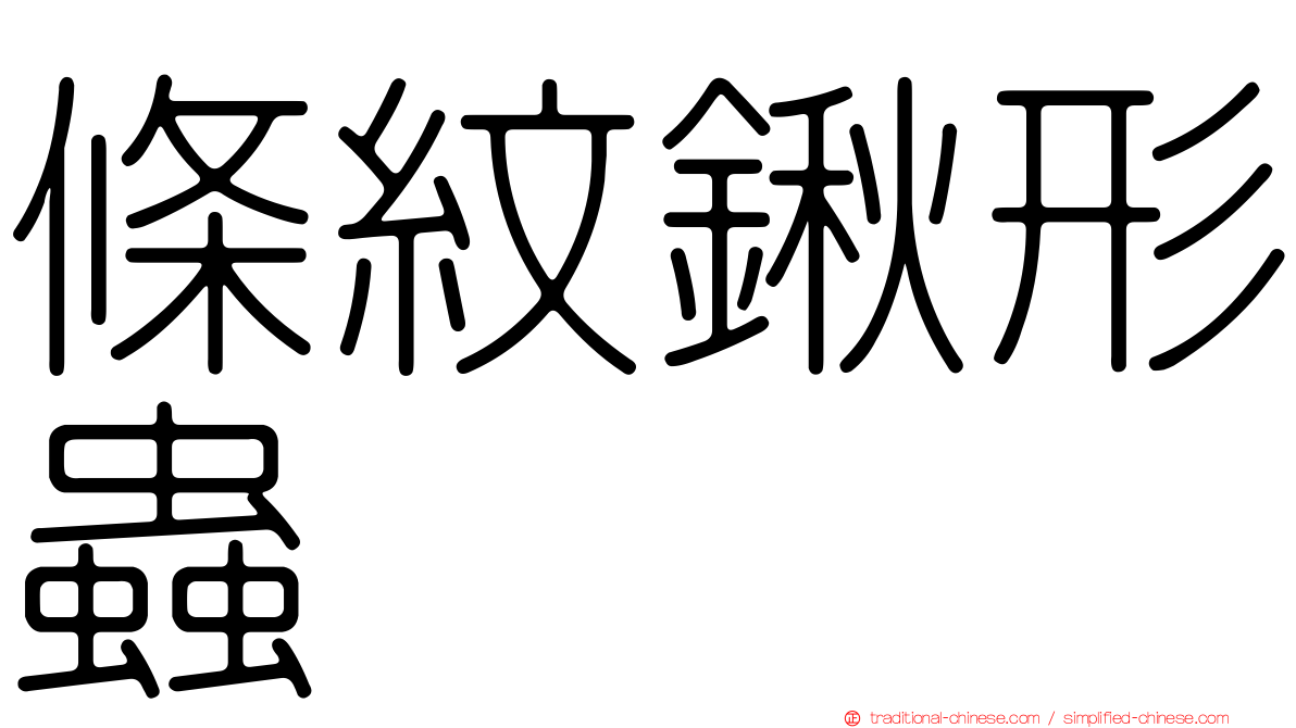 條紋鍬形蟲