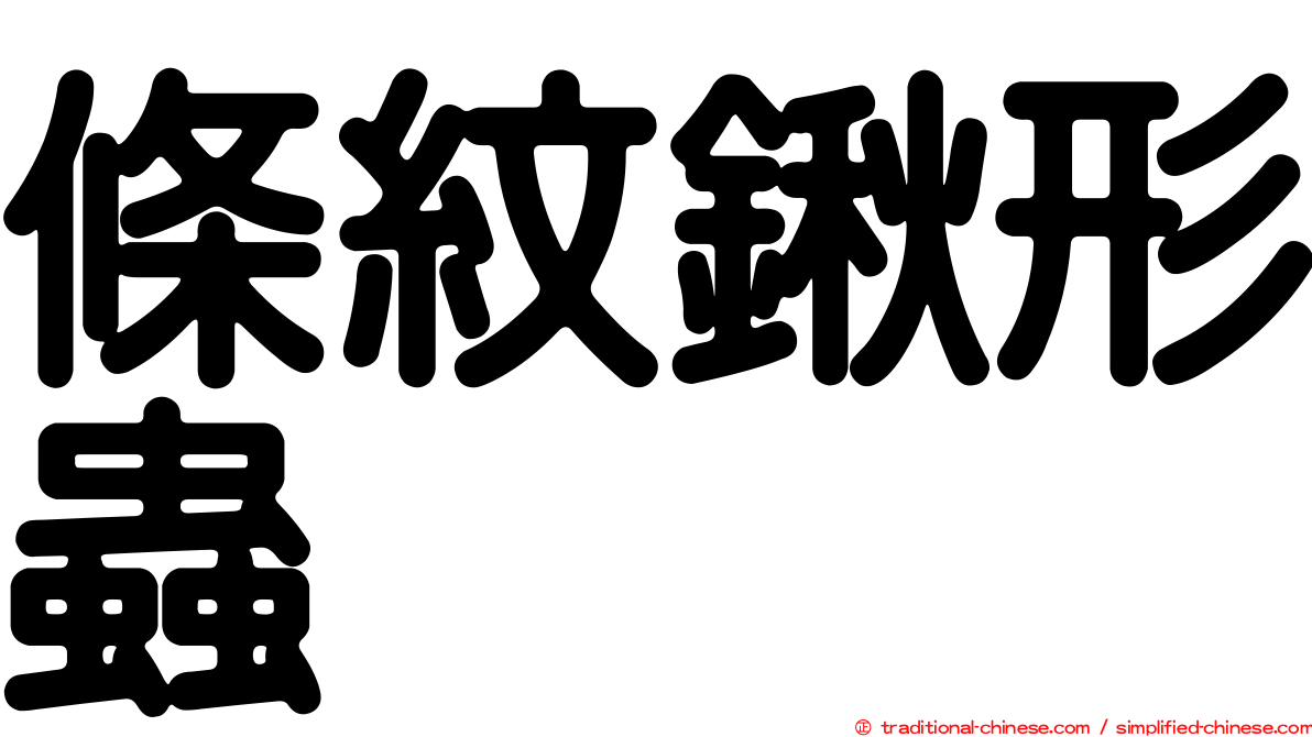 條紋鍬形蟲