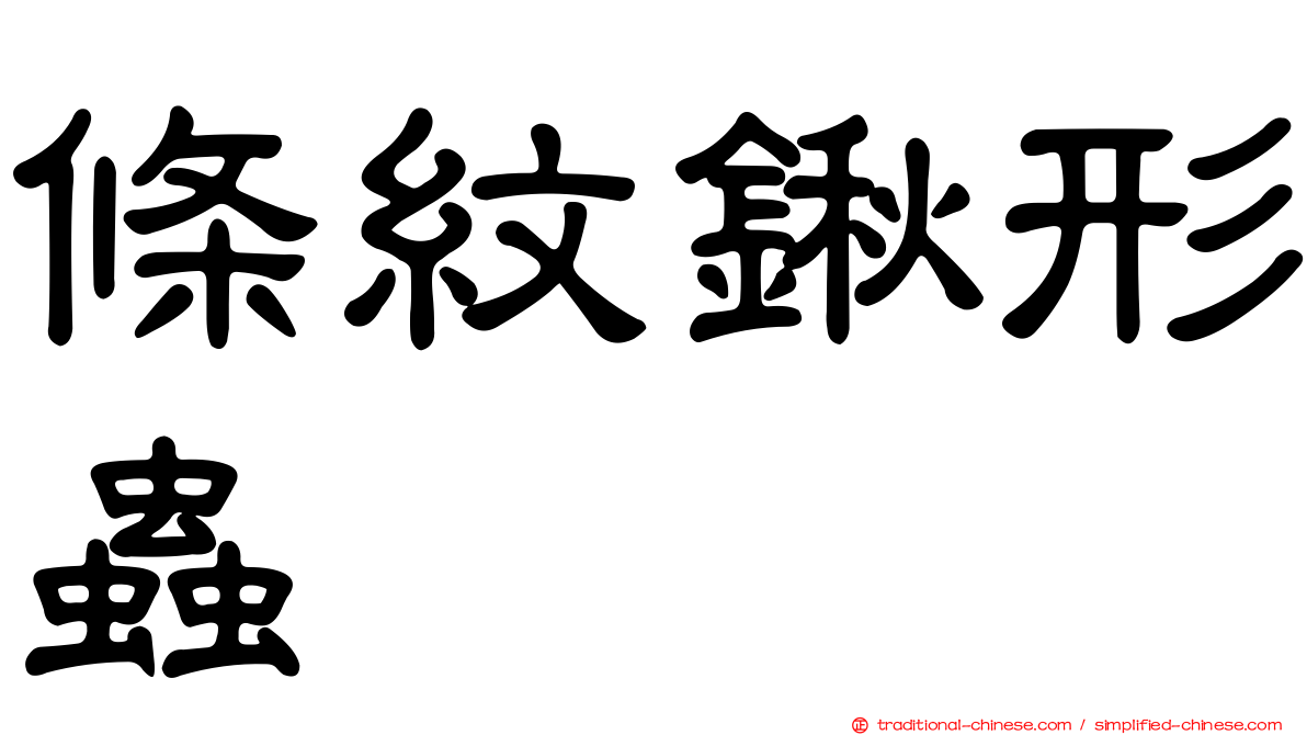 條紋鍬形蟲