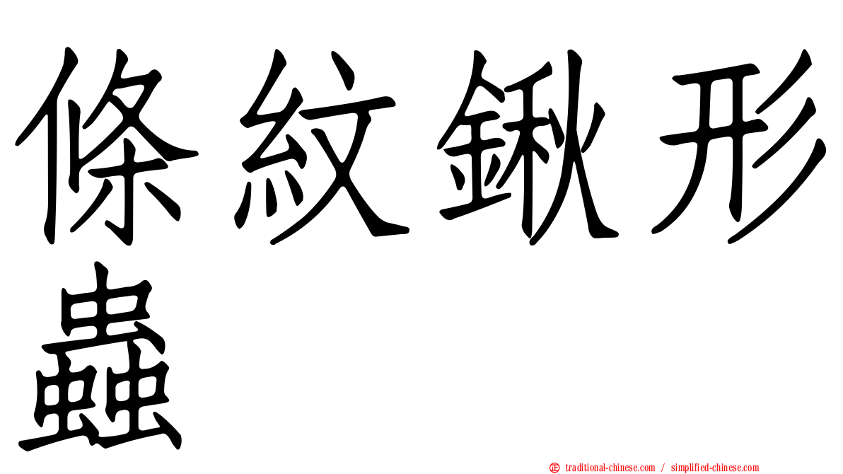 條紋鍬形蟲
