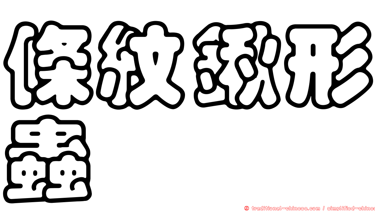 條紋鍬形蟲