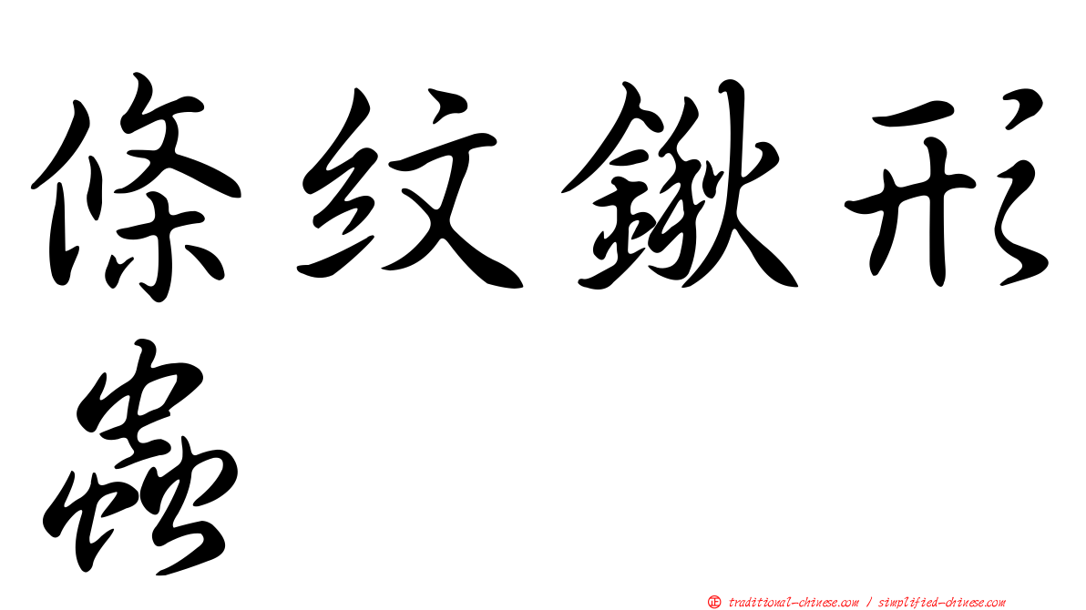 條紋鍬形蟲