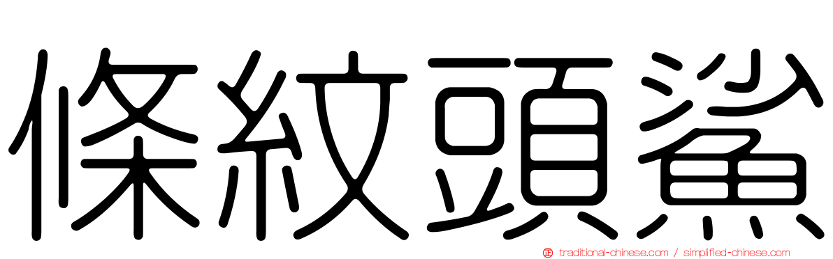 條紋頭鯊