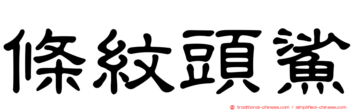 條紋頭鯊