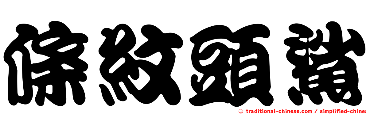 條紋頭鯊