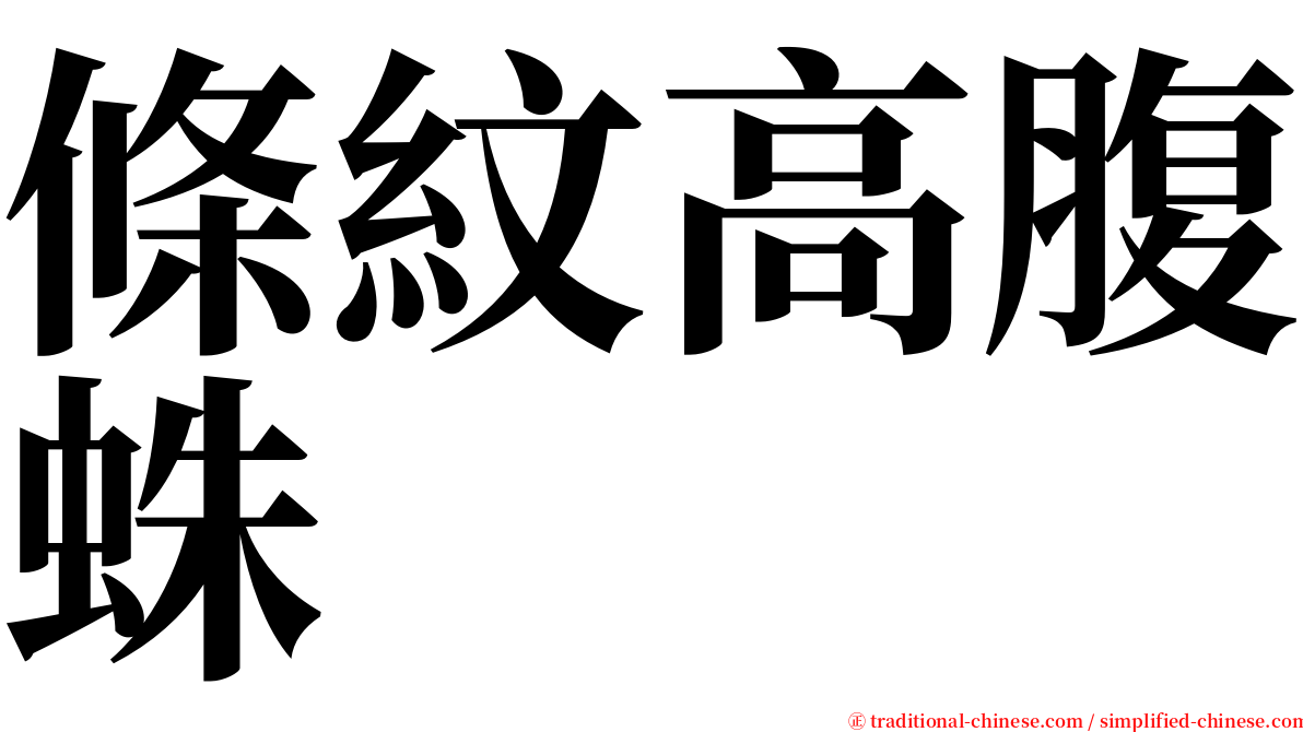 條紋高腹蛛 serif font