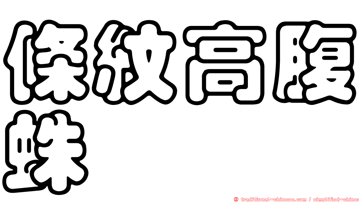 條紋高腹蛛