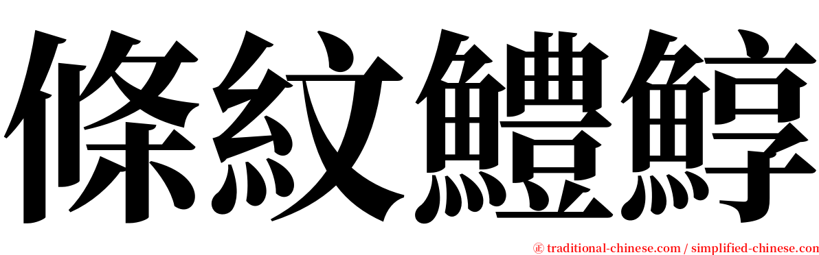 條紋鱧鯙 serif font