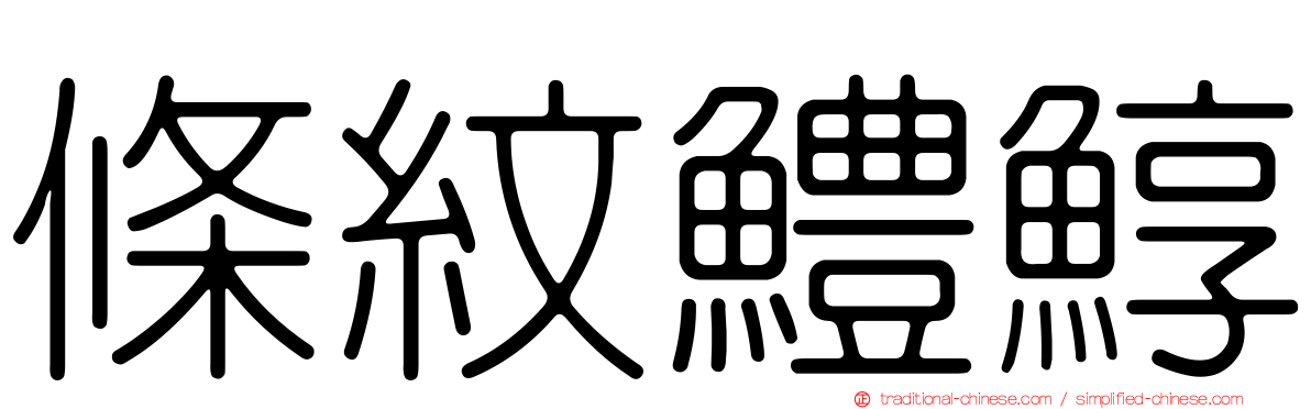 條紋鱧鯙