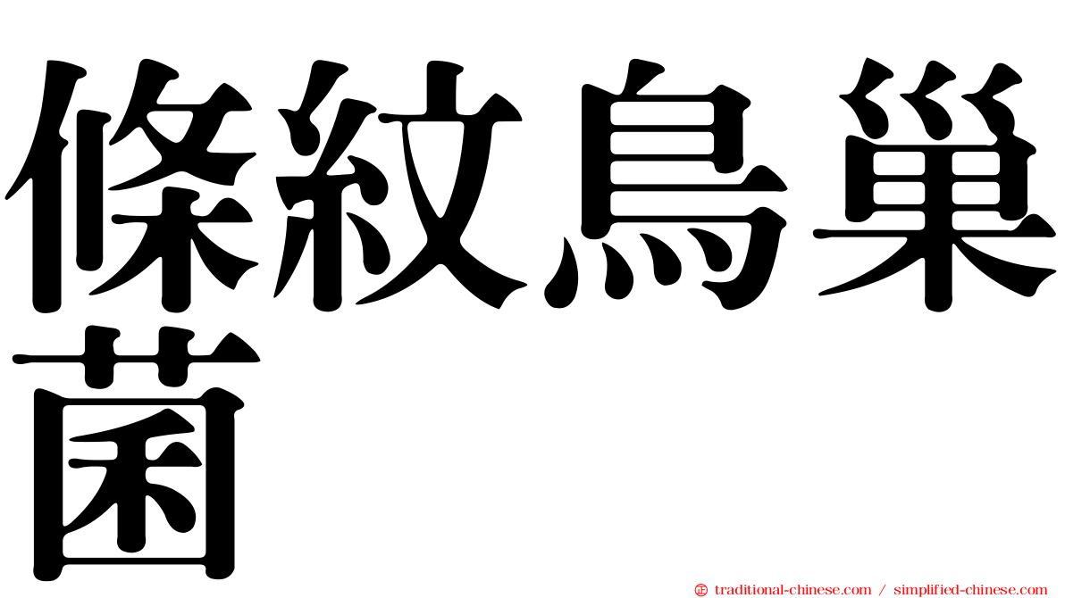 條紋鳥巢菌