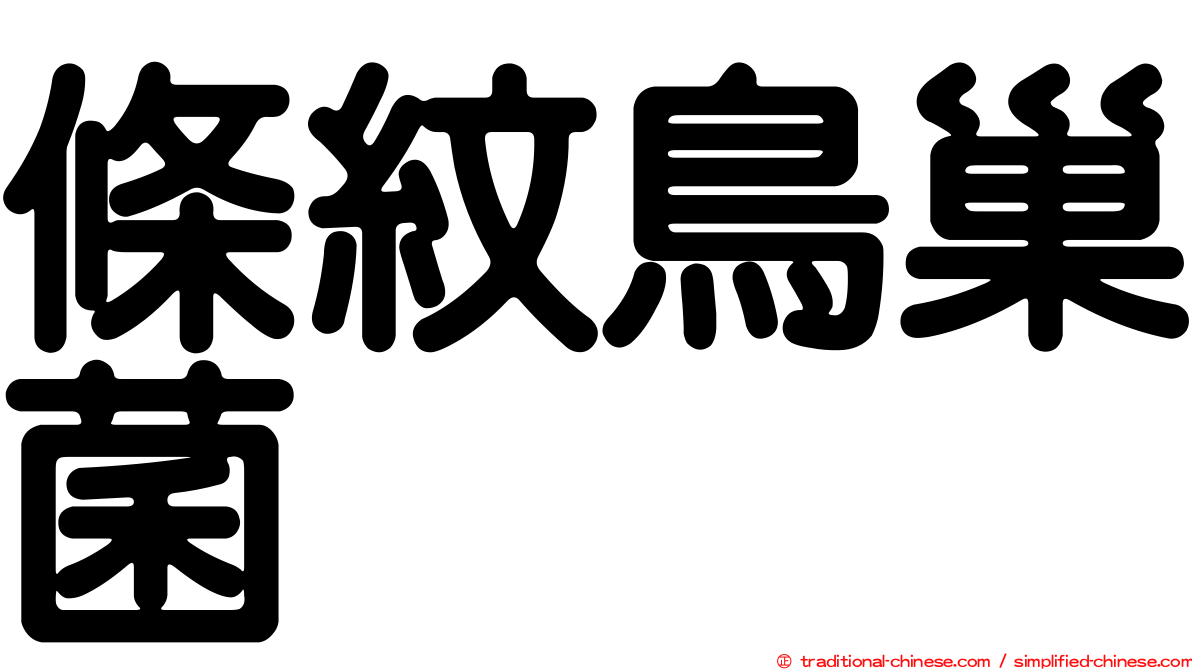 條紋鳥巢菌