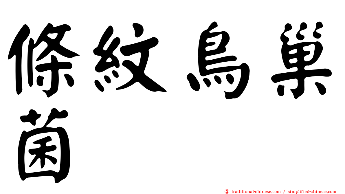 條紋鳥巢菌