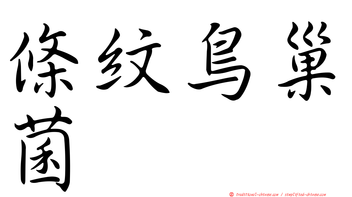 條紋鳥巢菌