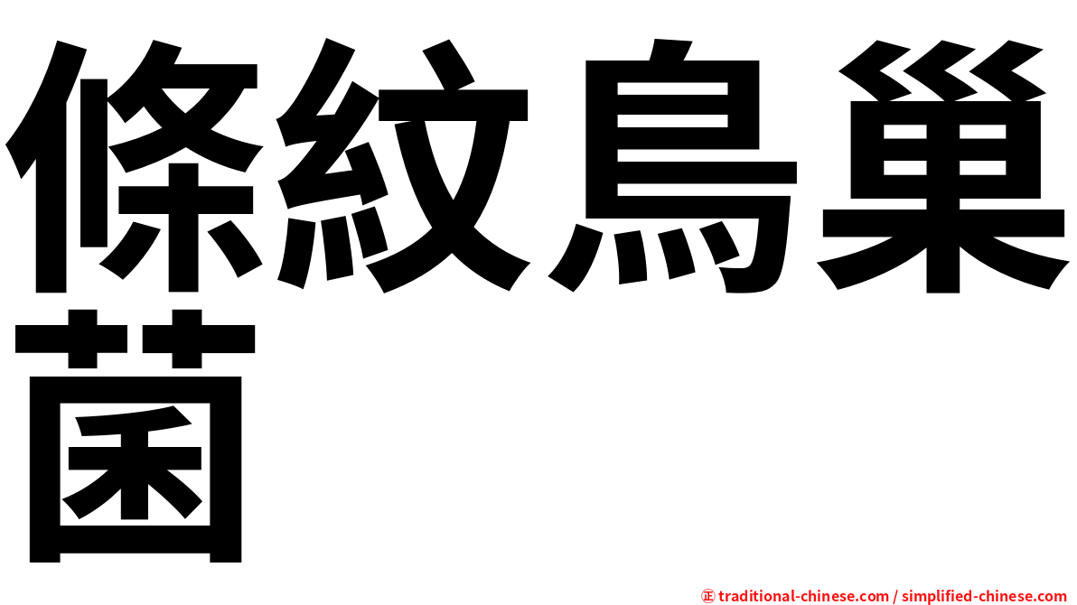 條紋鳥巢菌