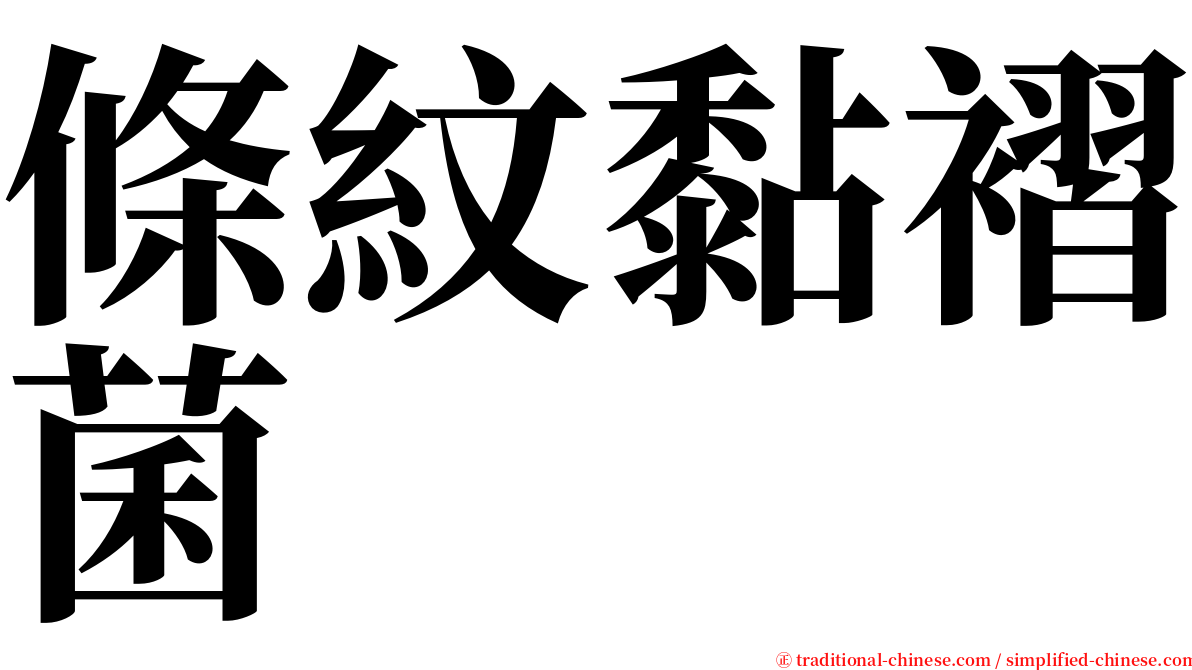 條紋黏褶菌 serif font