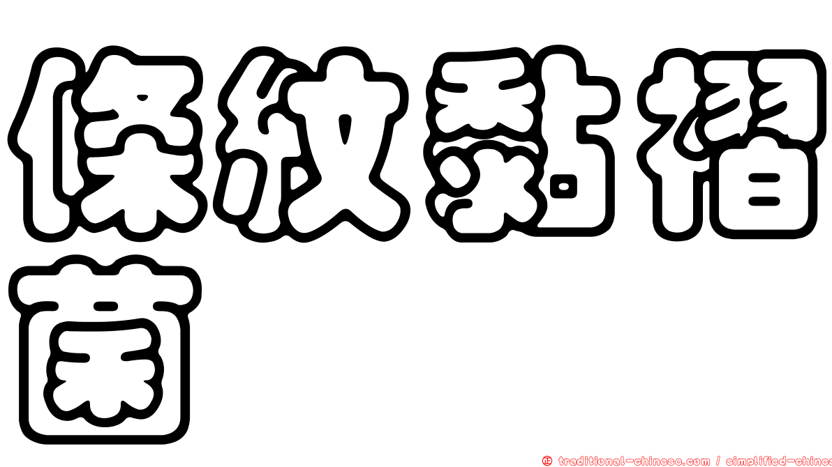 條紋黏褶菌