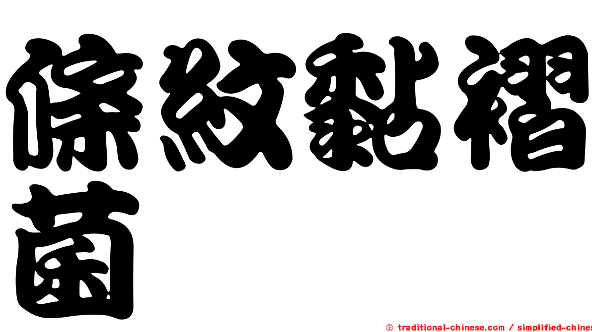 條紋黏褶菌