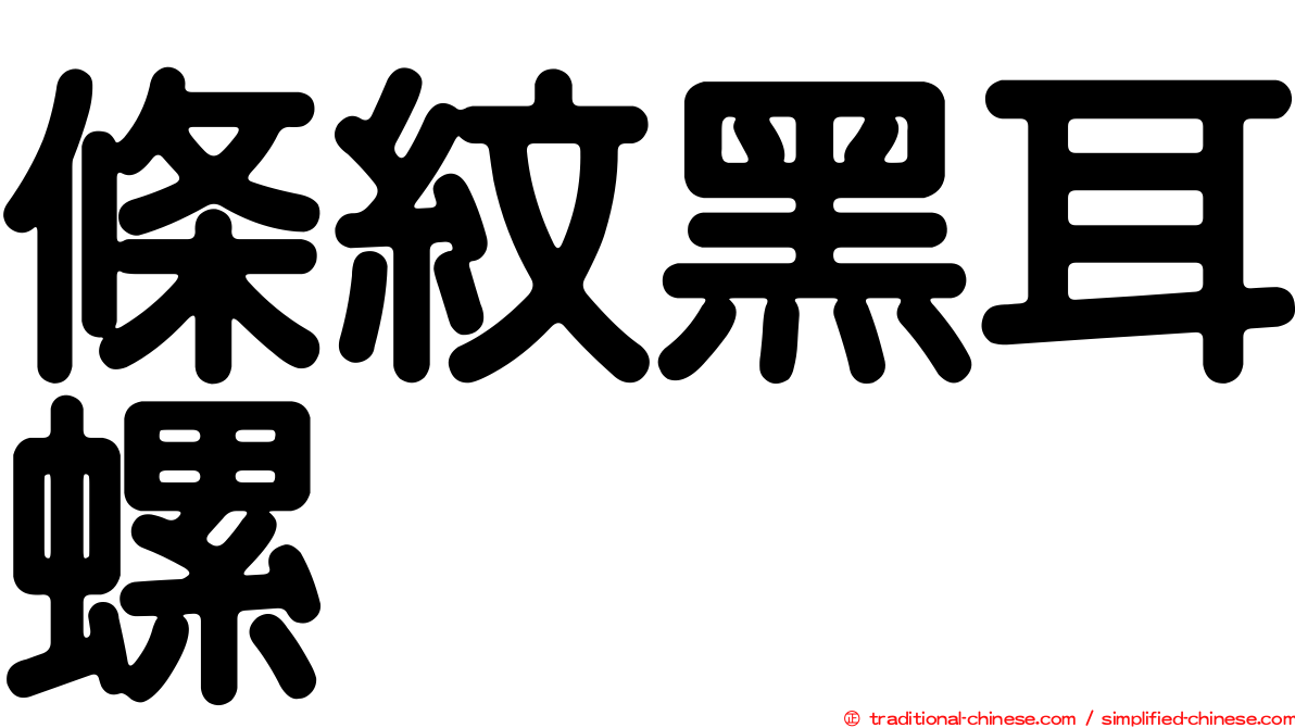 條紋黑耳螺