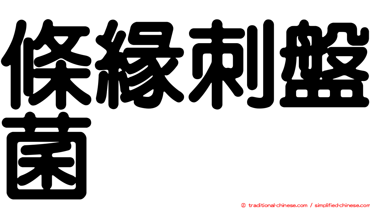 條緣刺盤菌