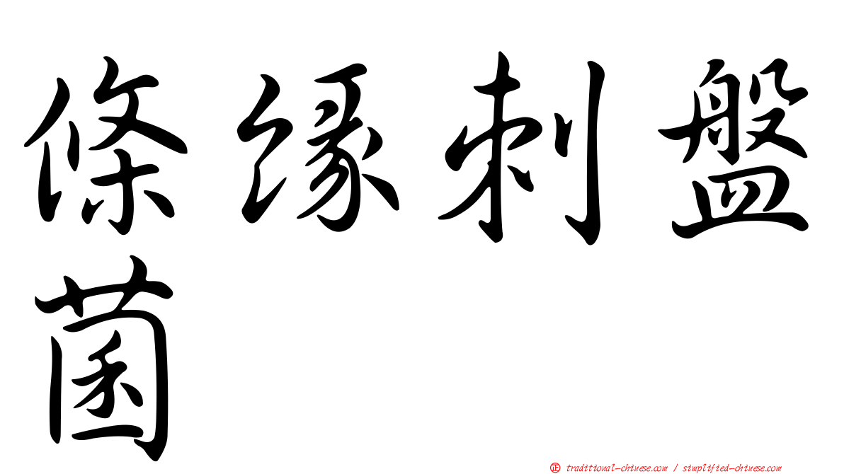 條緣刺盤菌
