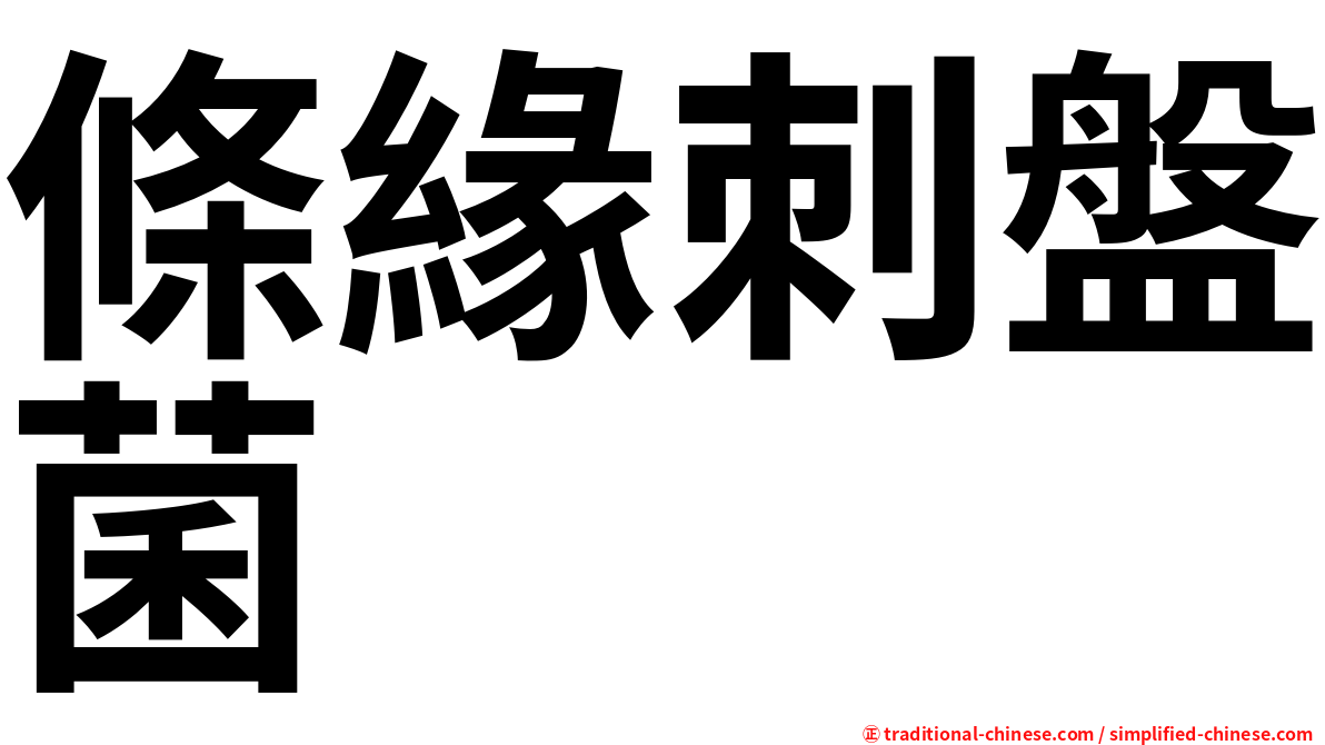 條緣刺盤菌