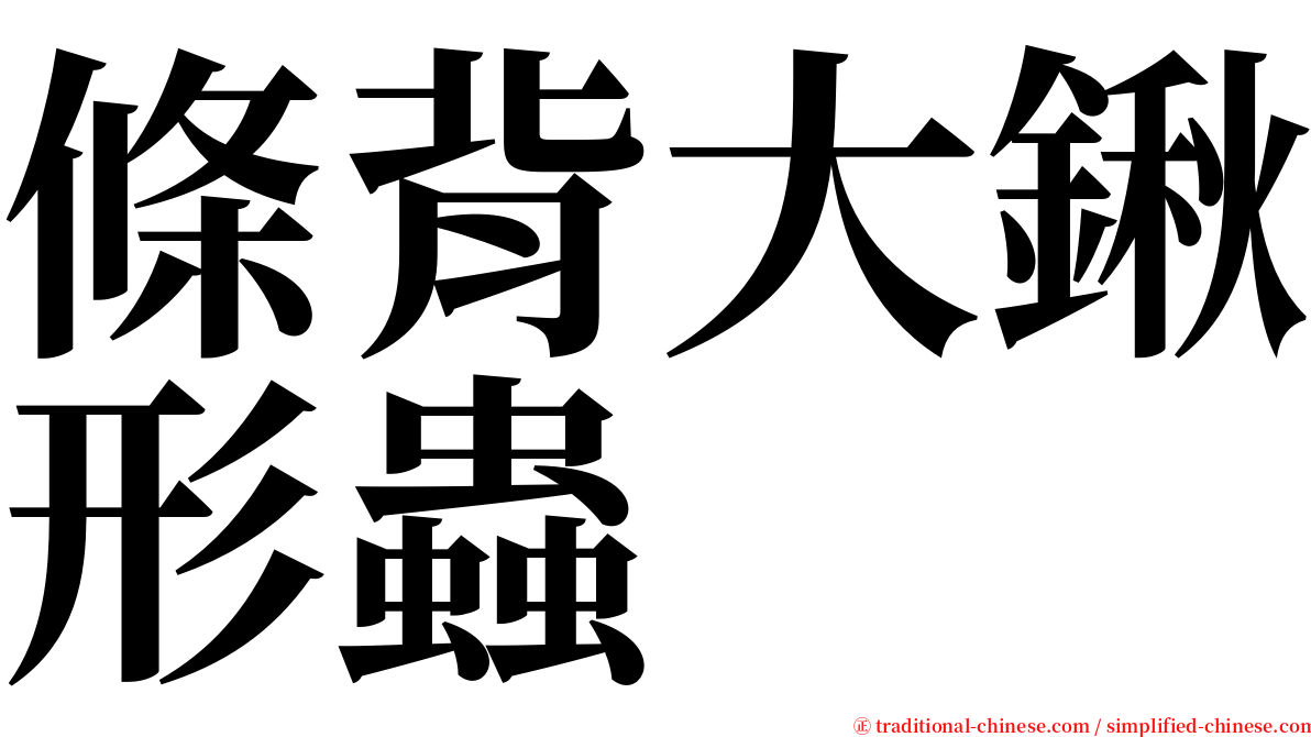 條背大鍬形蟲 serif font