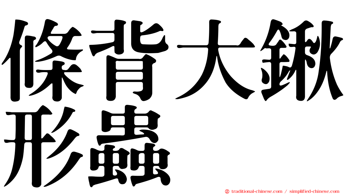條背大鍬形蟲