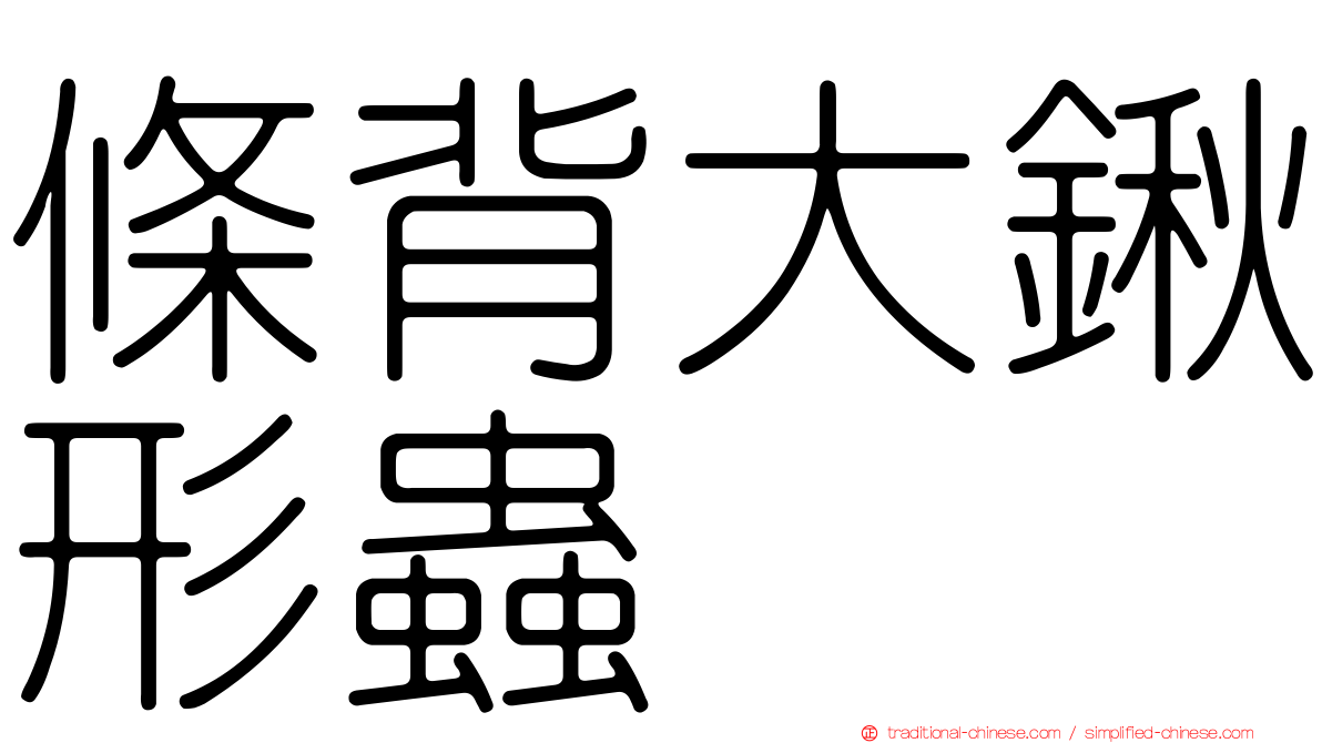 條背大鍬形蟲