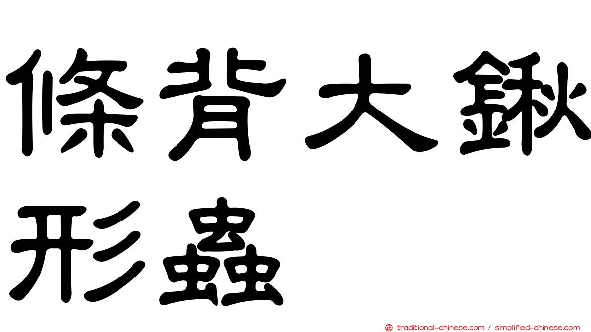 條背大鍬形蟲