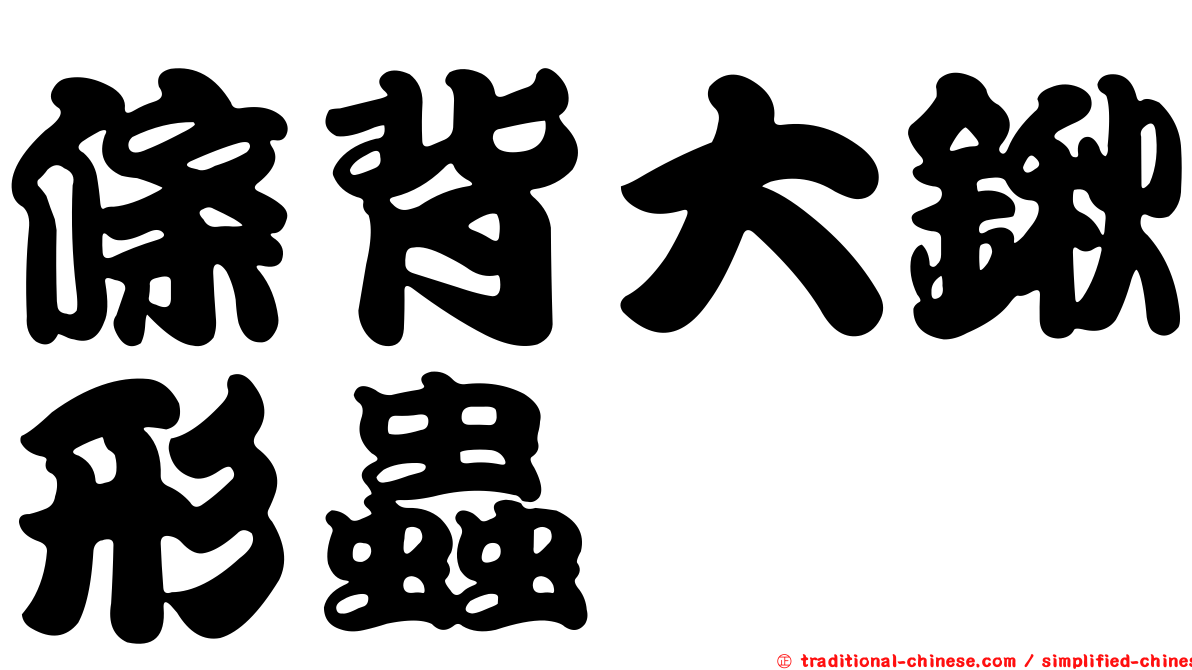 條背大鍬形蟲
