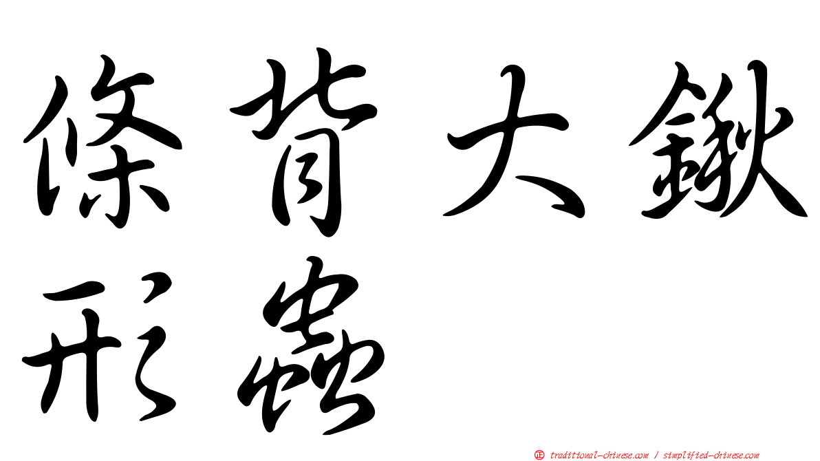 條背大鍬形蟲