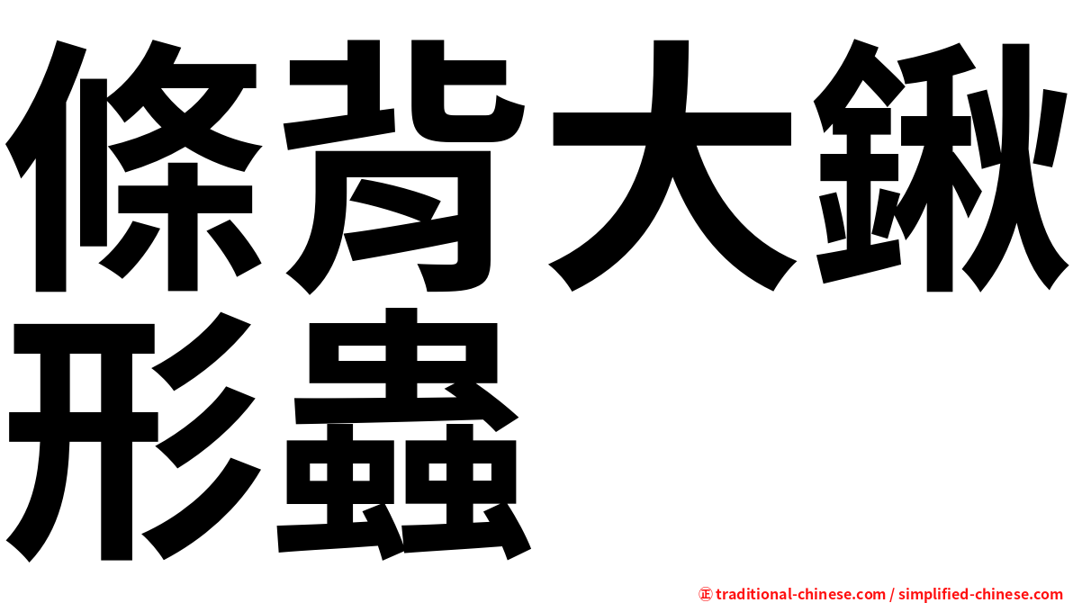 條背大鍬形蟲