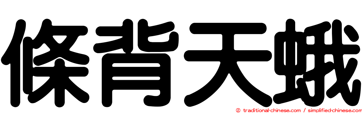 條背天蛾